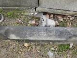 image of grave number 684195
